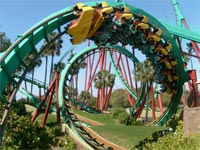 busch gardens, tampa